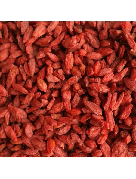 Goji Bio - Baies séchées 200g - Lycium barbarum L.