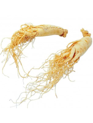 https://www.louis-herboristerie.com/10244-home_default/ginseng-bio-adaptogene-teinture-mere-panax-ginseng-50-ml-biover.jpg