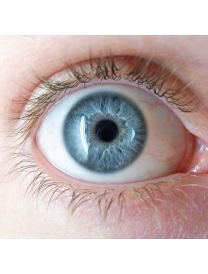 https://www.louis-herboristerie.com/10355-home_default/eau-d-argent-eyelid-care-20-ml-catalyons.jpg