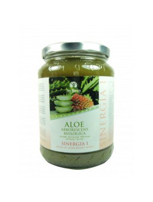 https://www.louis-herboristerie.com/10436-home_default/aloe-arborescens-bio-pere-zago-s-recipe-750-ml-teo-natura.jpg