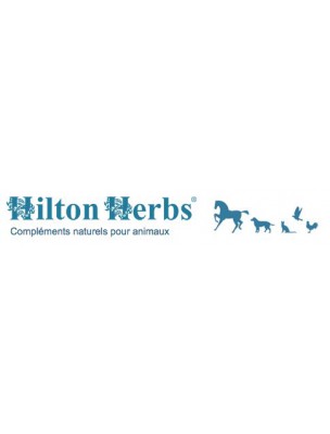 https://www.louis-herboristerie.com/10454-home_default/senior-dog-sansenior-dog-tea-125g-hilton-herbs.jpg