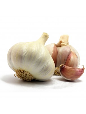 Image 10764 supplémentaire pour Ail désodorisé Garlic 2000 Bio - Circulation et Résistance 60 gélules - Be-Life