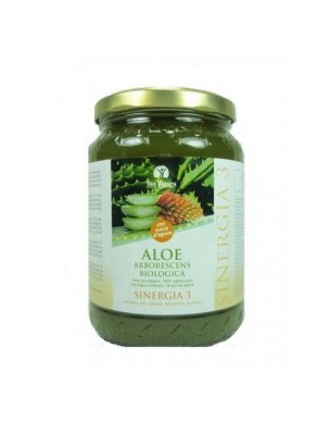 Image 10950 supplémentaire pour Aloé arborescens Bio au jus d'agave - 750 ml - Teo Natura