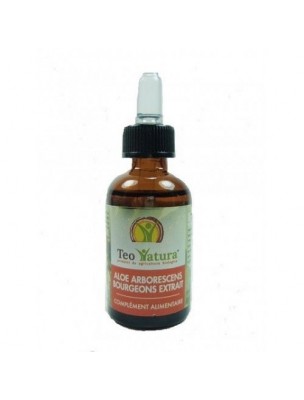 Image de Aloé arborescens bourgeon Bio - Gemmothérapie Digestion et défenses immunitaires 30 ml - Teo Natura depuis Produits de phytothérapie et d'herboristerie - Bourgeons