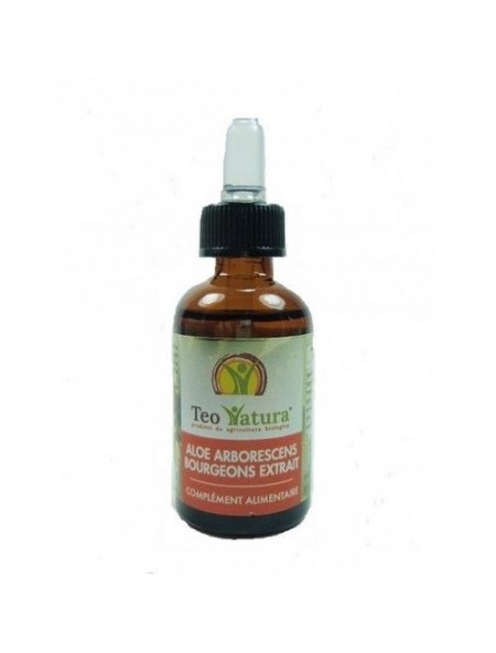 Image principale de Aloé arborescens bourgeon Bio - Gemmothérapie Digestion et défenses immunitaires 30 ml - Teo Natura