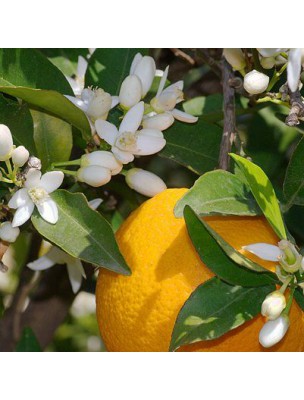 https://www.louis-herboristerie.com/11187-home_default/hydrolat-fleur-d-oranger-200-ml-naturado.jpg