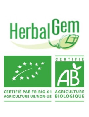 Image 11236 supplémentaire pour Olivier bourgeon Bio 30 ml - Circulation et Mémoire - Herbalgem