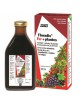 Floradix Fer + plantes - Tonique 500 ml - Salus