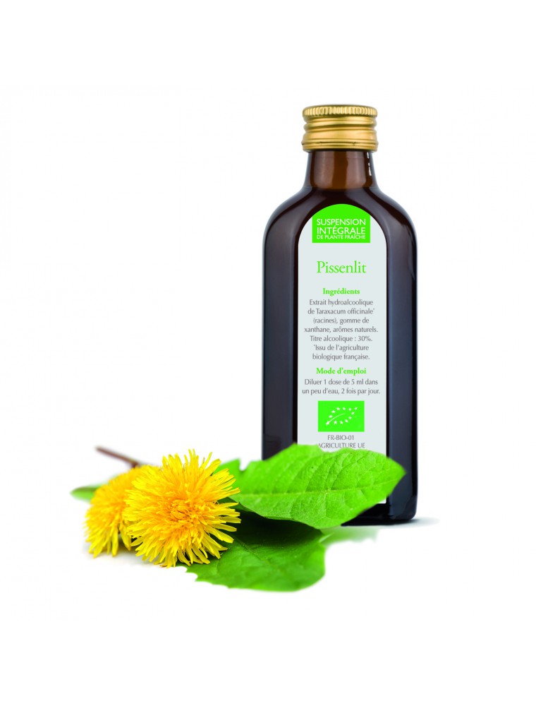 Image principale de la modale pour Pissenlit Bio - Suspension Intégrale de Plante Fraîche (SIPF) 100 ml - Synergia