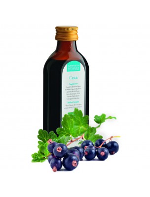 Image de Blackcurrant Bio - Suspension Integral of Fresh Plant (SIPF) 100 ml - Synergia depuis Order the products Synergia at the herbalist's shop Louis
