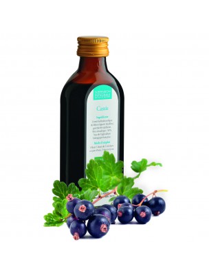 Image de Cassis Bio - Suspension Intégrale de Plante Fraîche (SIPF) 100 ml - Synergia depuis Commandez les produits Synergia à l'herboristerie Louis