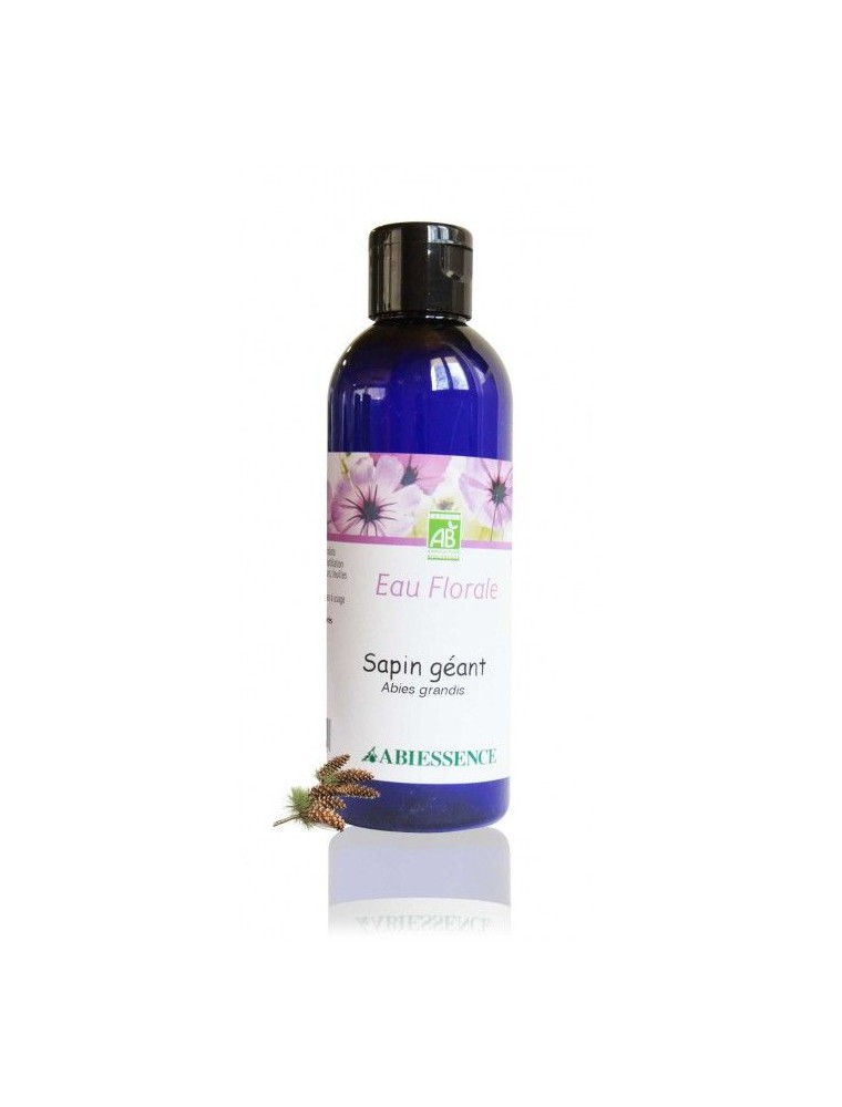 Image principale de la modale pour Sapin Géant Bio - Hydrolat (eau florale) 200 ml - Abiessence