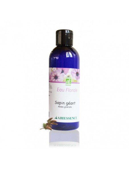 Achetez Sapin Géant Bio - Hydrolat (eau florale) 200 ml - Abiessence à l'herboristerie Louis Image principale de Sapin Géant Bio - Hydrolat (eau florale) 200 ml - Abiessence