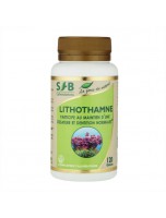 Image de Lithothamne - Ossature et Dentition normales 120 gélules - SFB Laboratoires depuis Plantes en gélules - Achat en ligne | PhytoZwell (6)