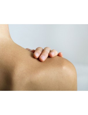 https://www.louis-herboristerie.com/12558-home_default/nettle-silica-organic-suppleness-of-the-joints-1-l-biofloral.jpg