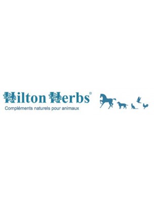 Image 12654 supplémentaire pour Freeway Gold - Voies respiratoires des chevaux 1 Litre - Hilton Herbs