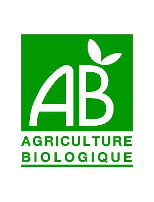 Petite image du produit Véritable Aubier du Tilleul sauvage du Roussillon Bio - Drainage 30 ampoules - La Gravelline