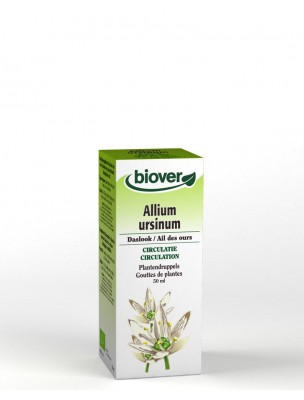 Image de Bear's garlic organic mother tincture Allium ursinum 50 ml - Circulation Biover depuis Depurative plants to eliminate waste from the body