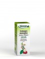 Image de Aubépine Bio - Coeur Teinture-mère Crataegus monogyna 50 ml - Biover via Acheter Ail commun Bio - Circulation Teinture-mère Allium sativum 50 ml -