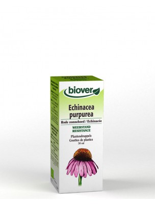 Image de Echinacée Bio - Immunité Teinture-mère Echinacea purpurea 50 ml - Biover via Acheter Défenses Naturelles, Protection et Résistance - 20 infusettes -