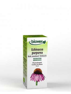 Image de Echinacée Bio - Immunité Teinture-mère Echinacea purpurea 50 ml - Biover via Infusion Défenses Naturelles, Protection - 20 infusettes - Biofloral