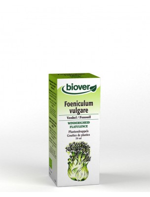 Image de Fenouil Bio - Digestion Teinture-mère Foenuculum vulgare 50 ml - Biover depuis Commandez les produits Biover à l'herboristerie Louis