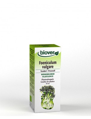 Image de Fenouil Bio - Digestion Teinture-mère Foenuculum vulgare 50 ml - Biover via Aneth Bio - Fruit 100g - Tisane