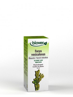 Image de Fucus - Minceur et Iode Teinture-mère Fucus vesiculosus 50 ml - Biover depuis Commandez les produits Biover à l'herboristerie Louis
