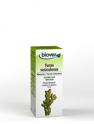 Image de Fucus - Minceur et Iode Teinture-mère Fucus vesiculosus 50 ml - Biover via Piloselle Bio 50ml - Diurétique Teinture-Mère de Hieracium Pilosella - Herbiolys