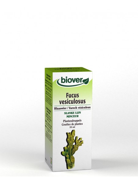 Fucus - Minceur et Iode Teinture-mère Fucus vesiculosus 50 ml - Biover