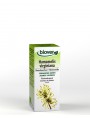 Image de Hamamélis Bio - Circulation Teinture-mère Hamamelis virginiana 50 ml - Biover via Acheter Vigne rouge Bio - Circulation Teinture-mère Vitis vinifera 50 ml