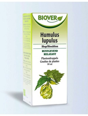 Image de Houblon Bio - Sommeil Teinture-mère Humulus lupulus 50 ml - Biover depuis Commandez les produits Biover à l'herboristerie Louis