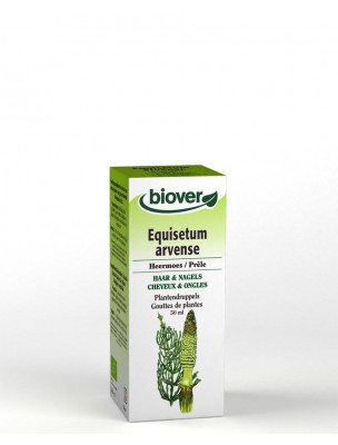 Image de Prêle Bio - Reminéralisant Teinture-mère Equisetum arvense 50 ml - Biover via Puragem Pin Bio - Remède Articulations et Immunité - Purasana