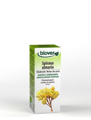 Image de Reine des prés Bio - Articulations et Dépuratif Teinture-mère Spiraea ulmaria - 50 ml - Biover depuis Achetez nos teintures-mères de qualité supérieure - Livraison gratuite (8)