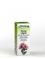 Image de Thym Bio - Respiration et Digestion Teinture-mère Thymus vulgaris 50 ml - Biover via Acheter Drosera - Respiration Teinture-mère Drosera rotundifolia 50 ml -
