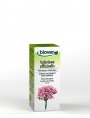 Image de Valerian organic - Sleep tincture Valeriana officinalis 50 ml Biover via Apple Bud Organic - Nervous Calming 15 ml