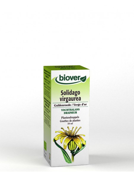 Image principale de Verge d'or Bio - Voies urinaires Teinture-mère Solidago virgaurea 50 ml - Biover