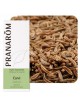 Carvi - Huile essentielle de Carum carvi 10 ml - Pranarôm 