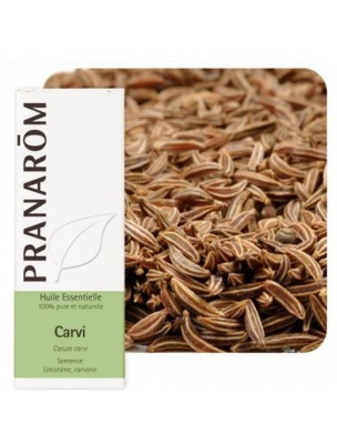 Image de Carvi - Huile essentielle de Carum carvi 10 ml - Pranarôm  depuis Aromathérapie : huiles essentielles unitaires pour votre bien-être