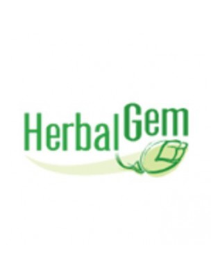 https://www.louis-herboristerie.com/1413-home_default/artiseve-joints-and-drainage-250-ml-herbalgem.jpg