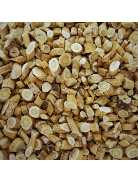 Image principale de Astragale - Racine coupée 100g - Tisane d'Astragalus membranaceus