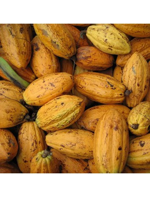 Image 14345 supplémentaire pour Éclats de Fèves de cacao Bio - Magnésium et Antioxydants SuperFoods 200g - Purasana
