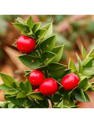 Image 14520 supplémentaire pour Petit Houx Fragon Bio - Circulation Teinture-mère Ruscus aculeatus 50 ml - Herbiolys