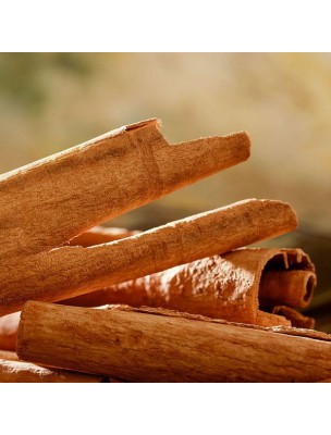 https://www.louis-herboristerie.com/14788-home_default/cannelier-de-chine-cinnamomum-cassia-30-ml-pranarom.jpg