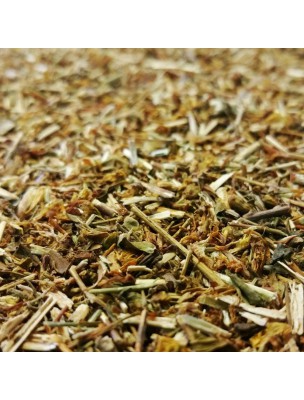 Image de Millepertuis Bio - Partie aérienne coupée 100g - Tisane Hypericum perforatum L. via Solaray - Griffonia Simplicifolia 50 mg - Sommeil et moral