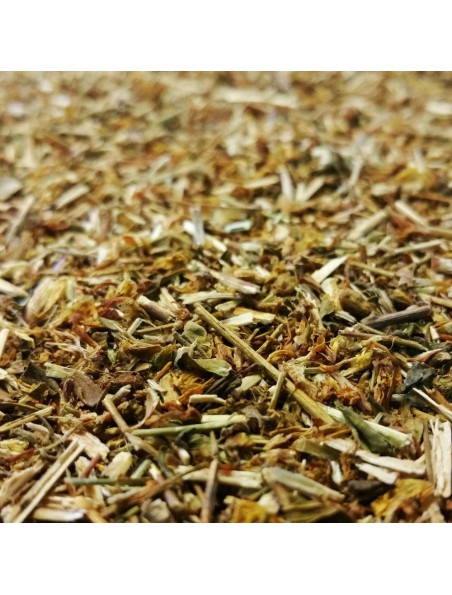 Millepertuis Bio - Partie aérienne coupée 100g - Tisane Hypericum perforatum L.