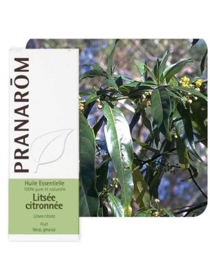 Image de Lemon Litsée - Litsea citrata Essential Oil 10 ml - Pranarôm depuis Essential oils for tonus