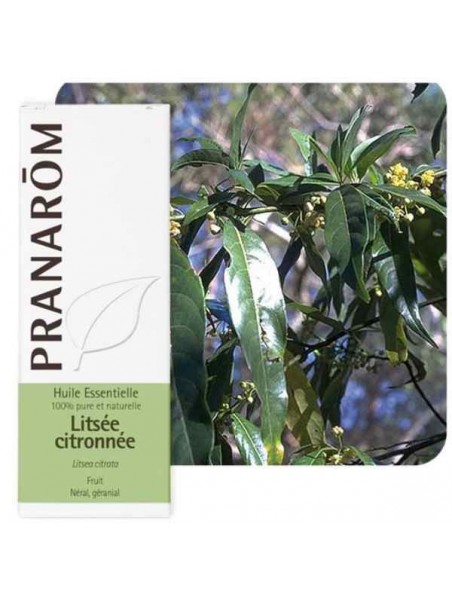 Image principale de Litsée citronnée - Huile essentielle Litsea citrata 10 ml - Pranarôm