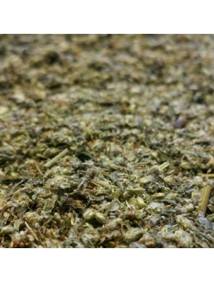 Image de Armoise - Partie aérienne coupée 100g - Tisane d'Artemisia vulgaris L. depuis Achetez les produits Louis à l'herboristerie Louis