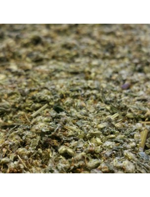 Image de Armoise - Partie aérienne coupée 100g - Tisane d'Artemisia vulgaris L. depuis Achetez vos Tisanes en ligne (2)